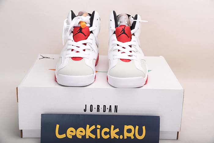 AIR JORDAN 6 “HARE” CT8529-062