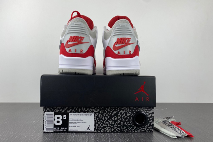 Air Jordan 3 Retro TH SP 