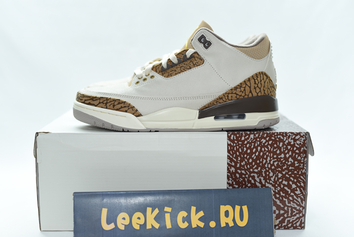 Air Jordan 3 “Palomino”CT8532-102