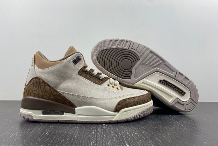 Air Jordan 3 “Palomino”CT8532-102