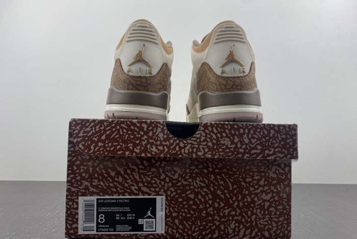 Air Jordan 3 “Palomino”CT8532-102