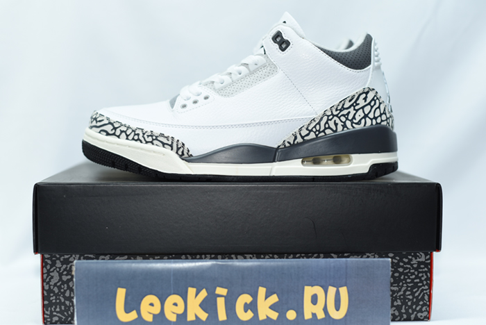 Air Jordan 3 GS “Hide N’ Sneak DX6665-100