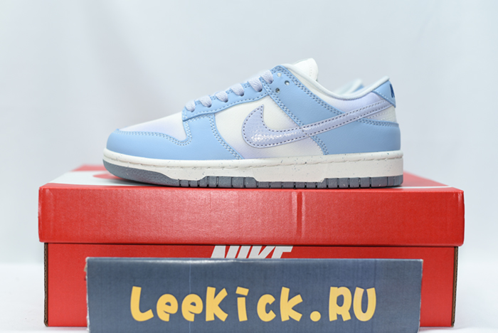 NIKE DUNK LOW FN0323-400