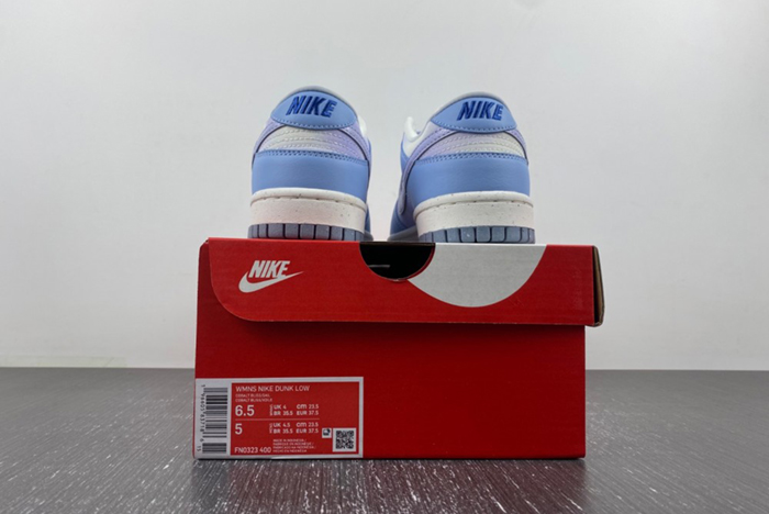 NIKE DUNK LOW FN0323-400
