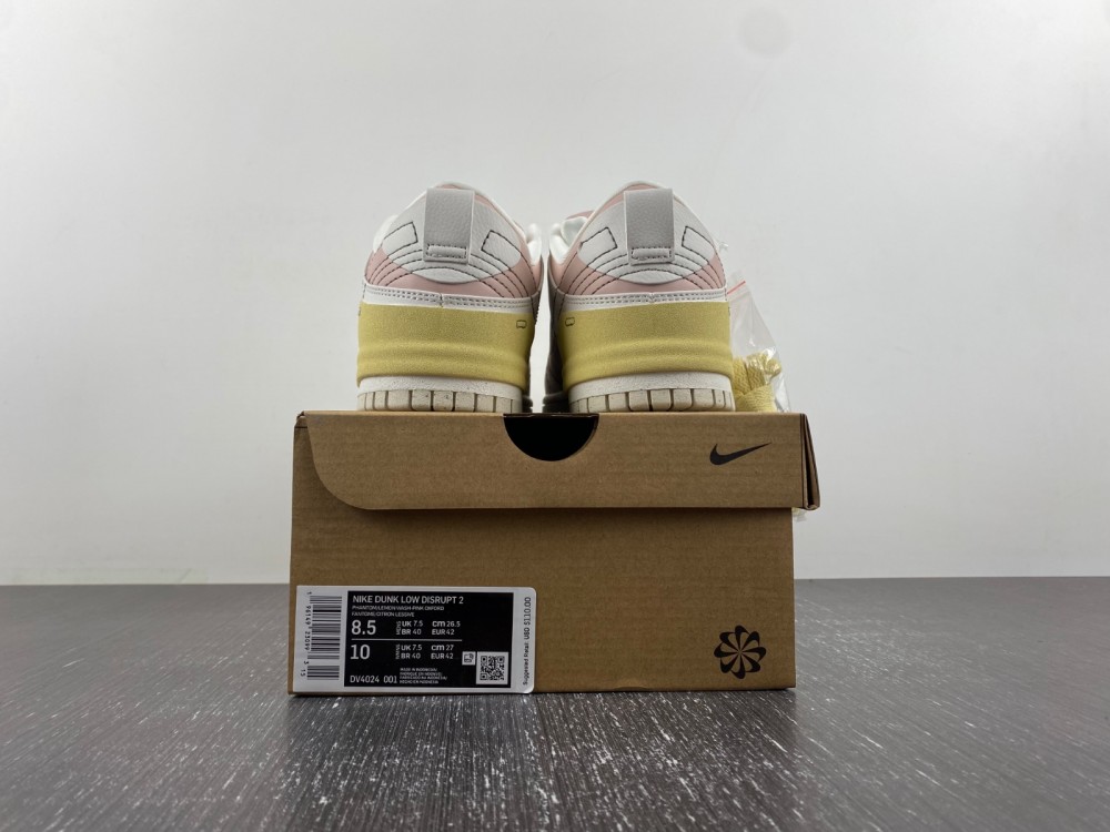 Nike SB Dunk Low Disrupt 2 Dv4024-001