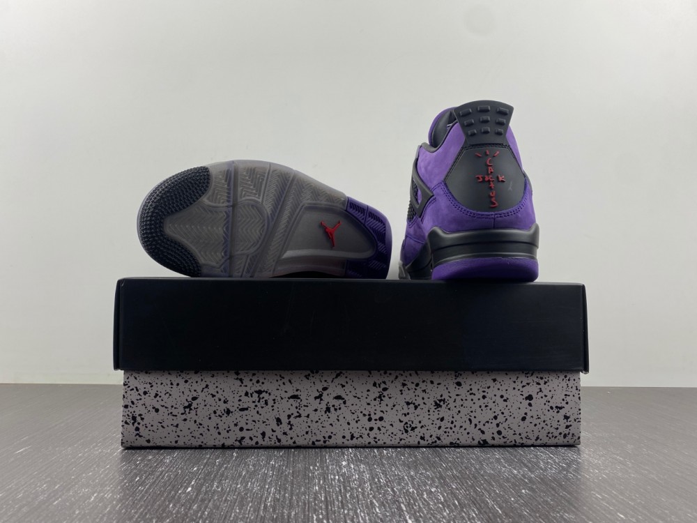 Air Jordan 4  Purple AJ4-766296-LN4
