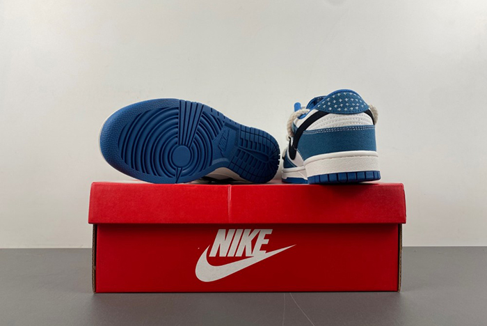 Nike Dunk Low SB DV0834-101