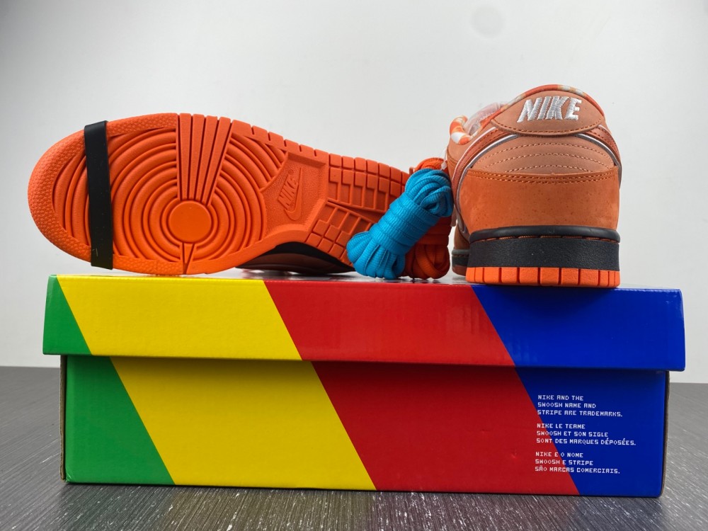 Concepts x Nike SB Dunk Low FD8776-800