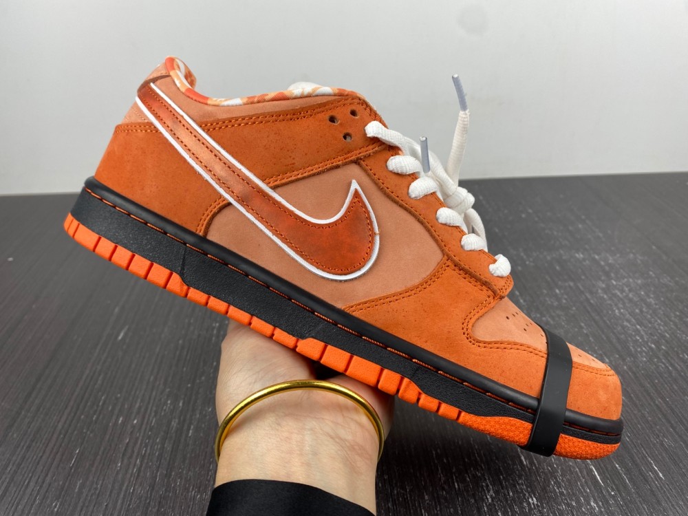 Concepts x Nike SB Dunk Low FD8776-800